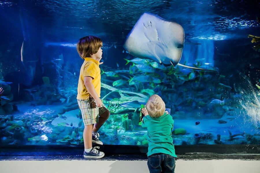 Orlando: Madame Tussauds and SEA LIFE Aquarium Combo Ticket - Two Orlando attractions, one easy stop on International Drive
