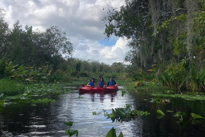 Orlando Manatee Encounters - A close look at manatees near Blue Spring