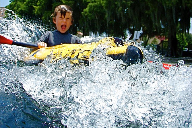 Orlando Manatee Encounters - What the $80 price really covers