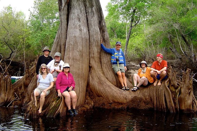 Orlando Manatee Encounters - Timing, clothing, and practical preparation