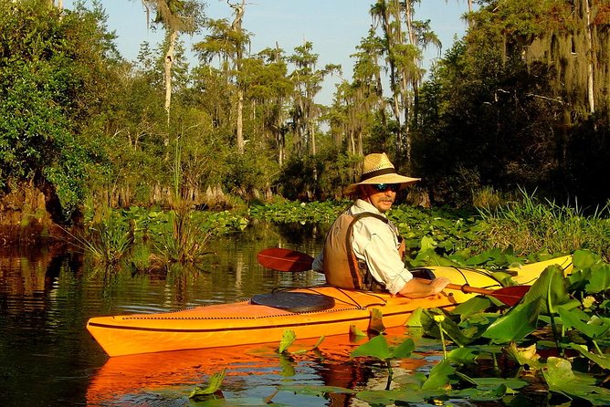 Orlando Manatee Encounters - Who will enjoy this kayak tour most?