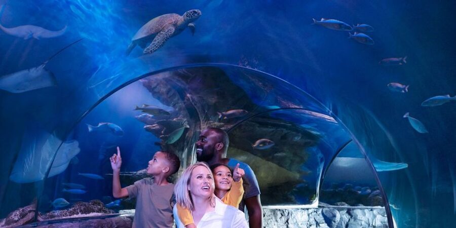 Orlando: SEA LIFE Orlando Aquarium - Who will enjoy SEA LIFE Orlando most