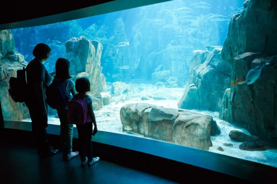 Orlando: SEA LIFE Orlando Aquarium - A self-guided route with a clear family focus
