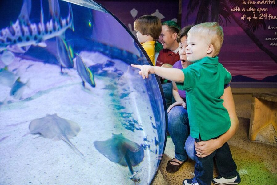 Orlando: SEA LIFE Orlando Aquarium - Accessibility, arrival, and useful planning details