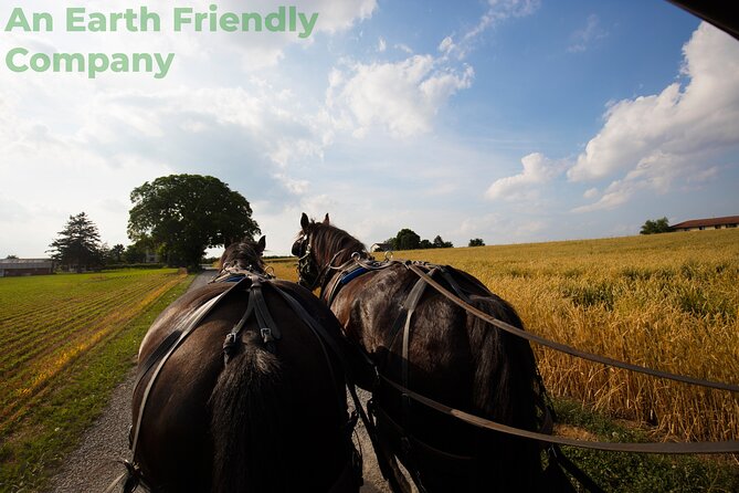 Philadelphia and Amish Country, 1-Day Tour from NYC - Meeting at 6:30 a.m. on West 42nd Street