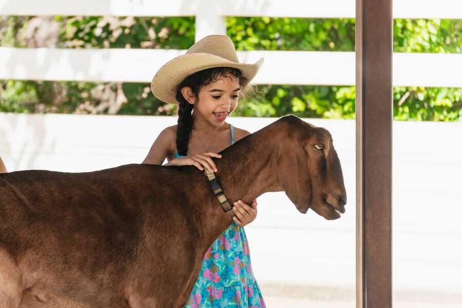 Phoenix Zoo One Day General Admission Ticket - Timing matters more than the ticket suggests