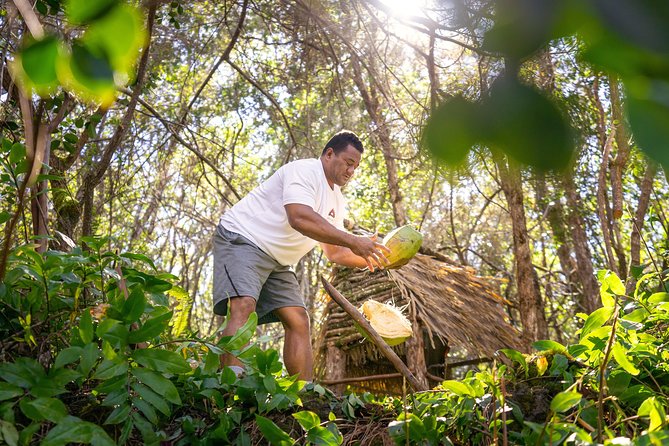 Polynesian Cultural ATV Tour in Kona - Safety Training Comes Before the Fun