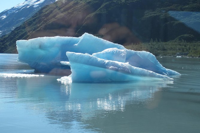 Portage Glacier Cruise and Wildlife Explorer Tour - Turnagain Arm and Chugach National Forest by road