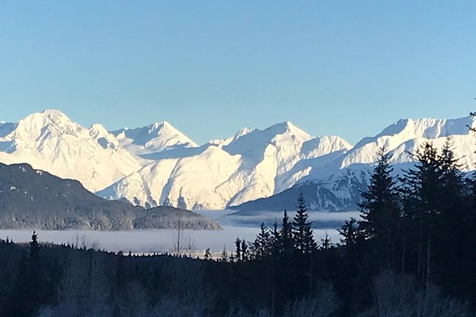 Portage Glacier Cruise and Wildlife Explorer Tour - Who should book the Portage Glacier and Wildlife Explorer Tour?