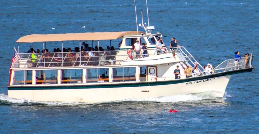 Portland: Best of Maine Lighthouse Scenic Cruise - Halfway Rock and the chance to spot wildlife