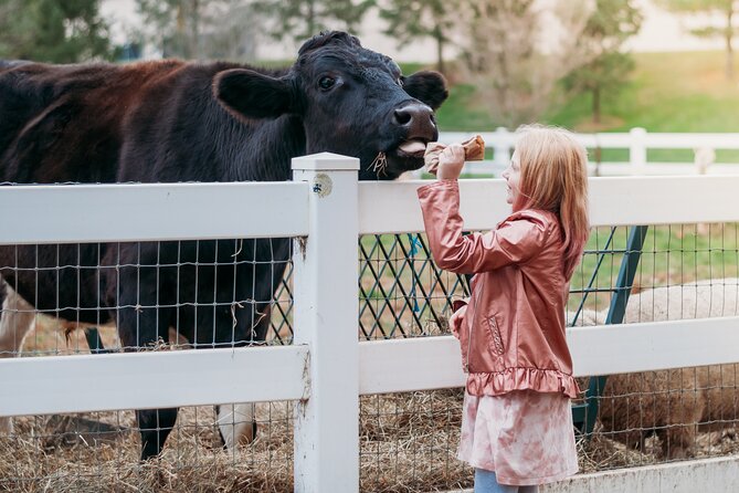 Premium Amish Country Tour including Amish Farm and House - The 90-minute ride through Amish backroads