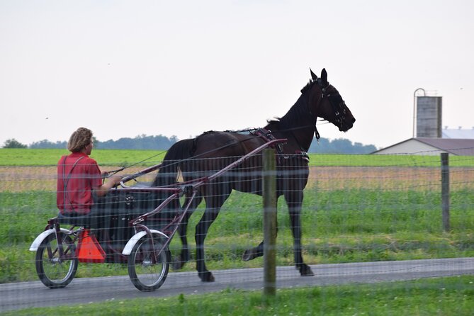 Premium Amish Country Tour including Amish Farm and House - Walking the 15-acre farm and schoolhouse