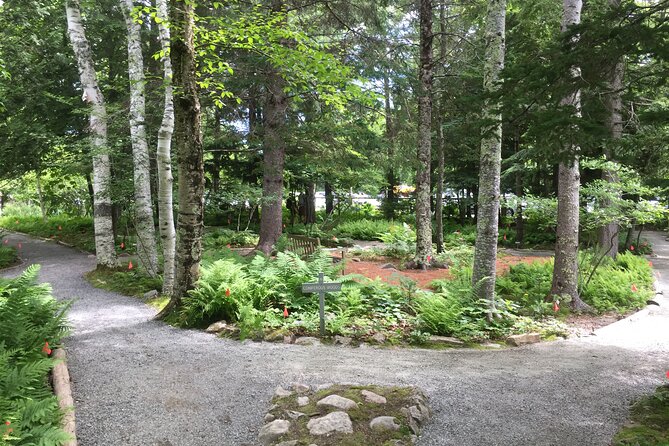 Premium Narrated Bus Tour of Bar Harbor and Acadia National Park (3.5 Hours) - Jordan Pond depends on parking