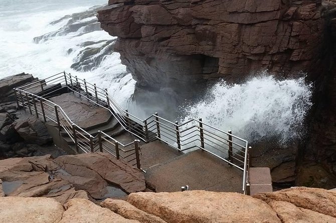 Premium Narrated Bus Tour of Bar Harbor and Acadia National Park (3.5 Hours) - The weather can decide the day