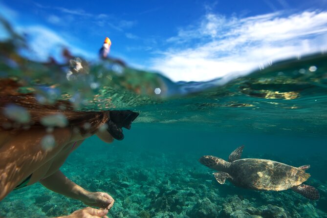 Premium Oahu Circle Island Tour – Small Group, No Crowds - Makapu’u Point puts you beside the Pacific