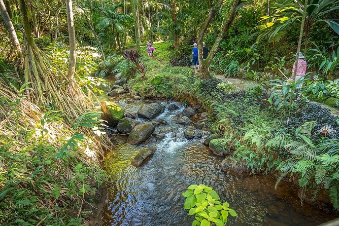 Princeville Botanical Gardens Tour and Chocolate Tasting Ticket - Fruit, flowers, and honey along the route