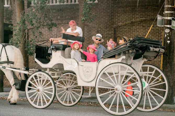 Private Daytime Horse-Drawn Carriage Tour of Charleston - Why the private upgrade can be worth $325