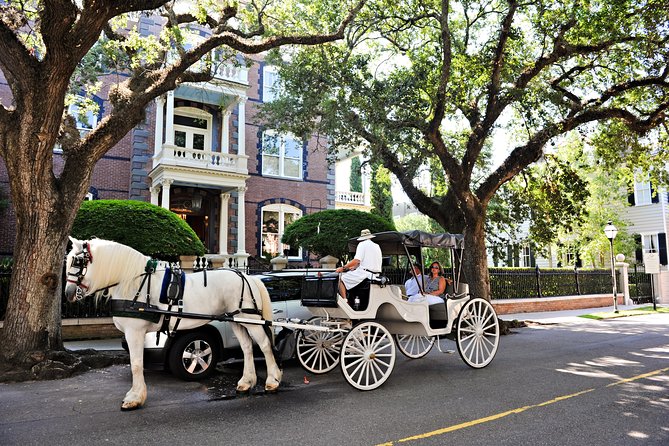 Private Daytime Horse-Drawn Carriage Tour of Charleston - The horses, comfort, and weather
