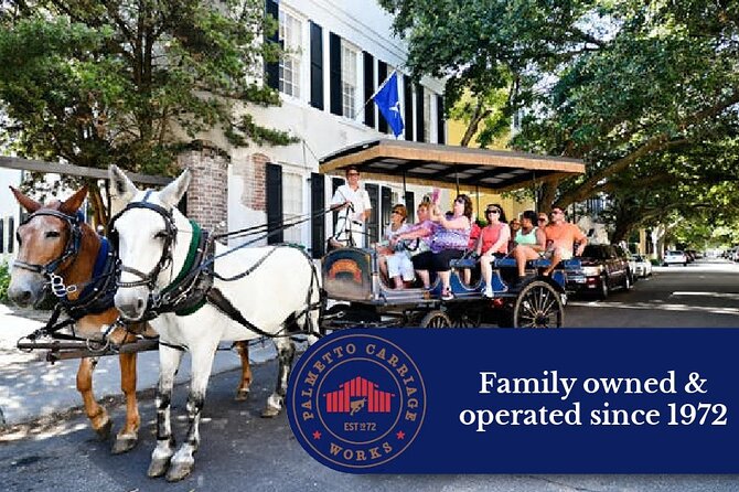 Private Daytime Horse-Drawn Carriage Tour of Charleston - Practical details for families and mobility needs
