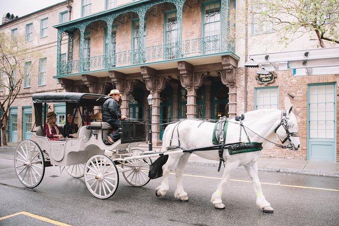 Private Daytime Horse-Drawn Carriage Tour of Charleston - A slow ride through Charleston’s historic center