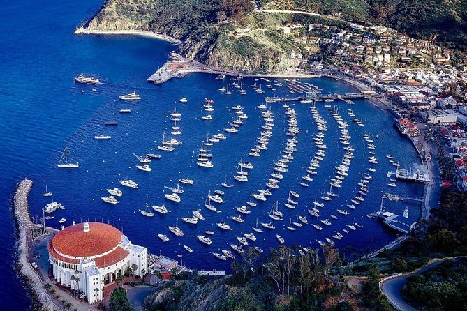 Private Guided Golf Cart Tour of Avalon - A Fast, Personal Introduction to Avalon