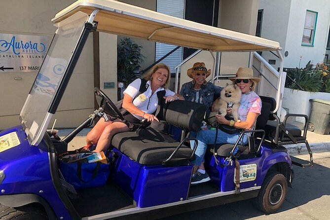 Private Guided Golf Cart Tour of Avalon - The Inn at Mount Ada and the Three Palms