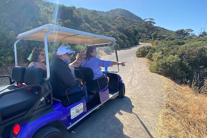 Private Guided Golf Cart Tour of Avalon - What Guides Add to the Experience