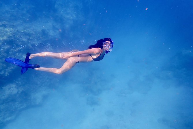 Private Looe Key Snorkel from Big Pine Key - Why a private trip to Looe Key feels different