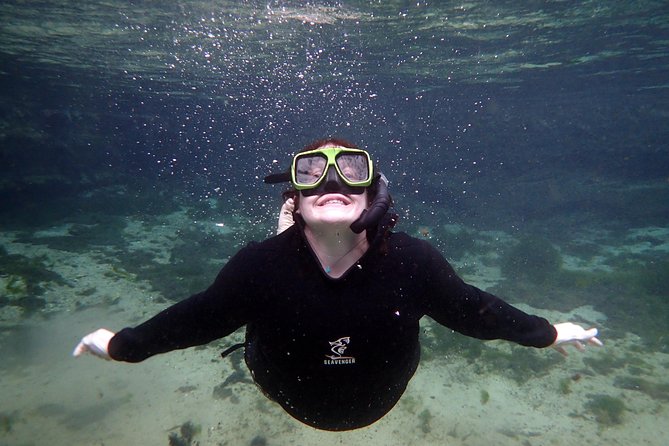 Private 'OG' Manatee Snorkel Tour with Guide for up to 10 people - Water clarity, crowds, and seasonal timing