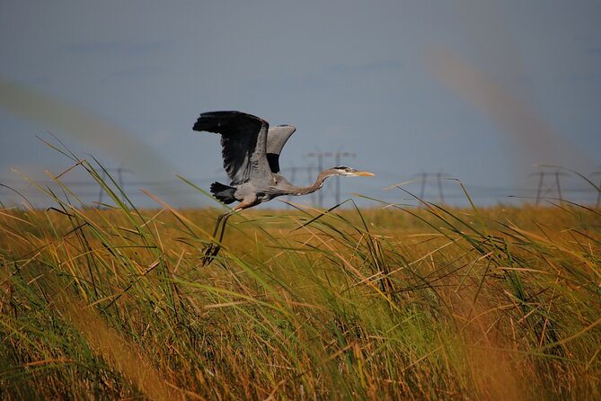 Private Tour: Florida Everglades Airboat Ride and Wildlife Adventure - The Alligator and Reptile Exhibit after the boat