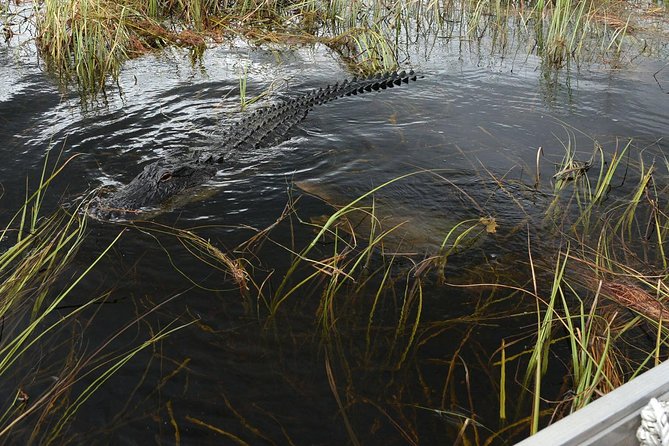 Private Tour: Florida Everglades Airboat Ride and Wildlife Adventure - The Glades Exhibit, mining activity, and gift shop