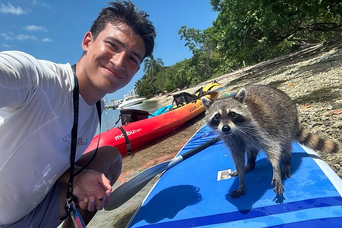 Raccoon Island: Exploration on SUP/Kayak - Choosing between a kayak and a paddleboard