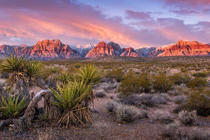 Red Rock Canyon eBike Half-Day Tour - The essential details at a glance
