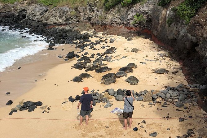 Road to Hana: Full-Day Scenic Drive with Blacksand & Waterfalls - Hana Farms and Aunty Sandy’s keep the route local