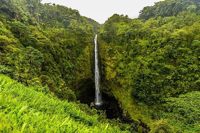 Road To Hana: Maui Waterfall Hiking Tour in Private Jeep - Why a private Jeep works so well on the Road to Hana