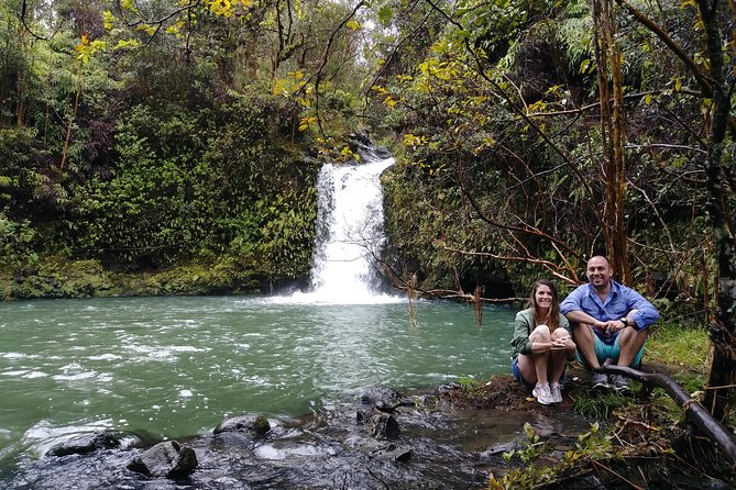 Road To Hana: Maui Waterfall Hiking Tour in Private Jeep - Black sand, sea turtles, and changing scenery