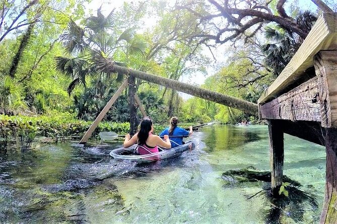 Rock Springs 2-Hour Glass Bottom Guided Kayak Eco Tour - Why the clear kayaks change the experience