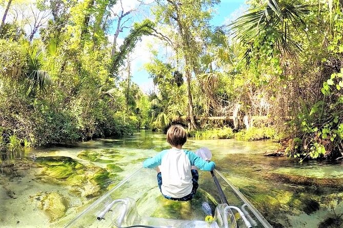 Rock Springs 2-Hour Glass Bottom Guided Kayak Eco Tour - Guide quality and the human side of the trip