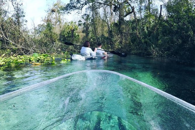 Rock Springs 2-Hour Glass Bottom Guided Kayak Eco Tour - Who will enjoy this Rock Springs tour