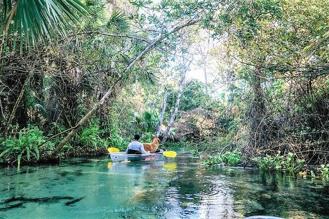 Rock Springs 2-Hour Glass Bottom Guided Kayak Eco Tour - The swim platform and cool spring water
