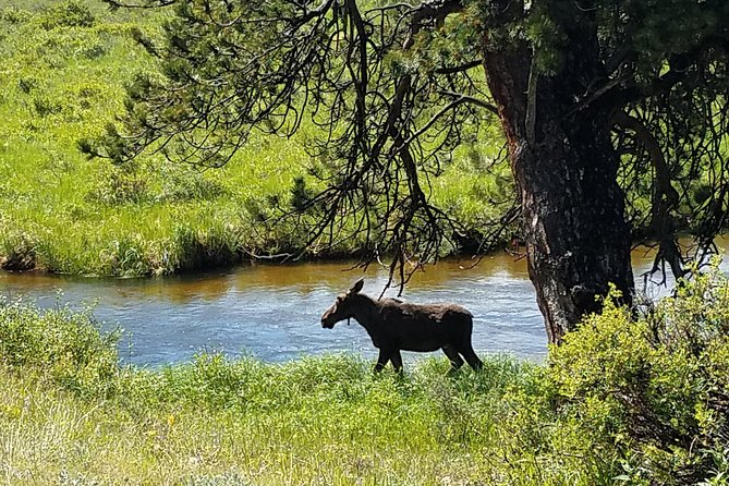 Rocky Mountain National Park and Estes Park Tour from Denver Winter and Spring - Entering Rocky Mountain National Park at Beaver Meadows