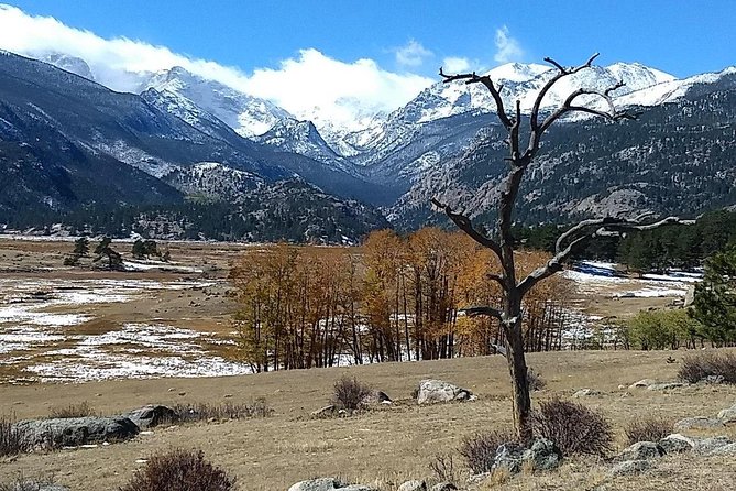 Rocky Mountain National Park and Estes Park Tour from Denver Winter and Spring - Horseshoe Park and the search for wildlife