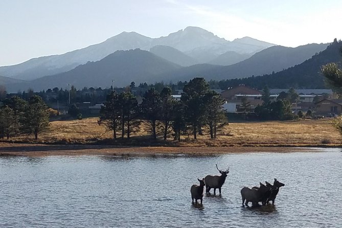 Rocky Mountain National Park and Estes Park Tour from Denver Winter and Spring - Bear Lake or Sprague Lake in winter