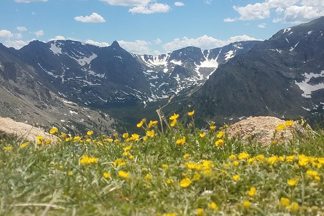 Rocky Mountain National Park in Summer Tour from Denver - Quick reasons to consider this Rocky Mountain day trip