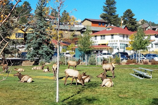 Rocky Mountain National Park in Summer Tour from Denver - Why this tour works well from Denver