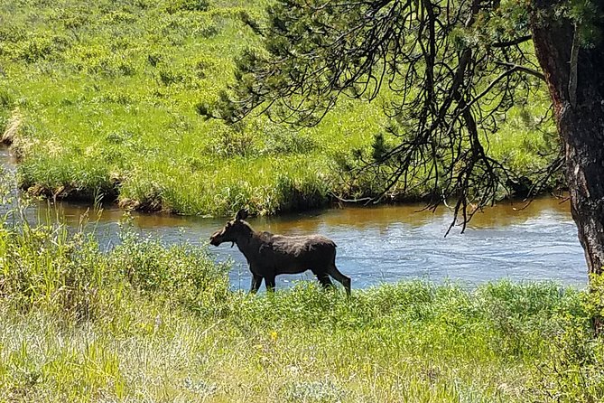 Rocky Mountain National Park in Summer Tour from Denver - Estes Park and the Stanley Hotel
