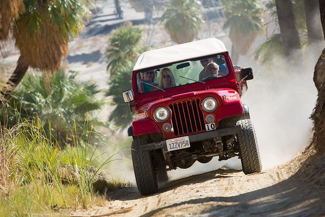 San Andreas Fault Jeep Tour from Palm Desert - Walking through the palm oasis