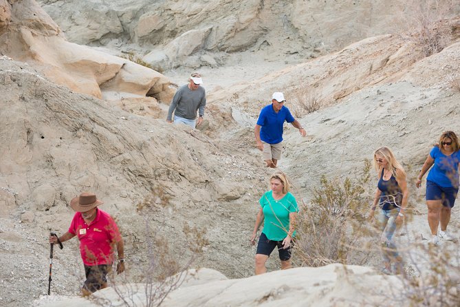 San Andreas Fault Jeep Tour from Palm Desert - Who will enjoy it, and who may not