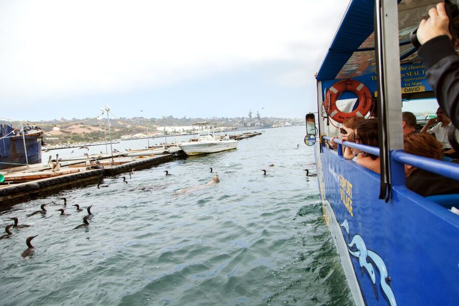 San Diego: SEAL City Tour by Amphibious Bus - Guides, captains, and the tone of the ride