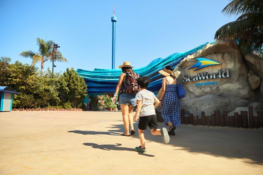 San Diego: SeaWorld Skip-the-Line Park Admission Ticket - Marine life from beluga whales to sharks